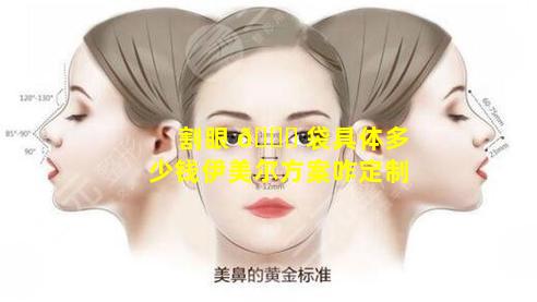 割眼 🐘 袋具体多少钱伊美尔方案咋定制